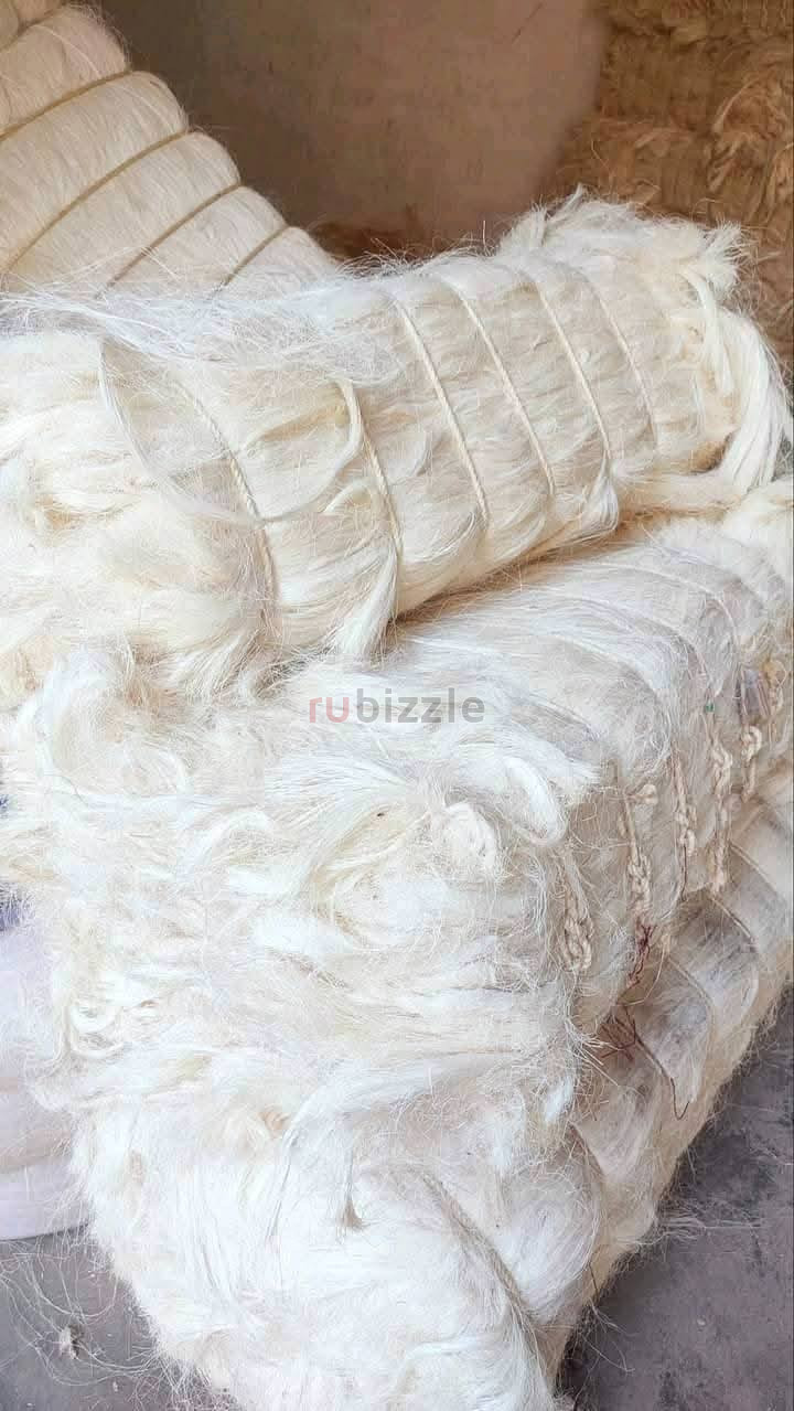 Quality UG Grade Sisal Fiber of Kenyan Origin